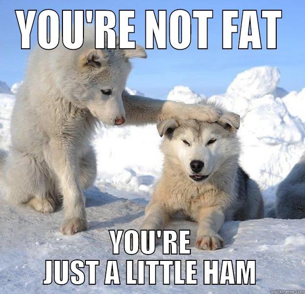 YOU'RE NOT FAT YOU'RE JUST A LITTLE HAM Caring Husky
