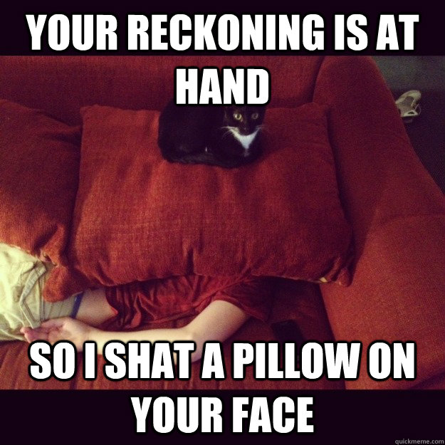 your reckoning is at hand so I shat a pillow on your face  jealous cat