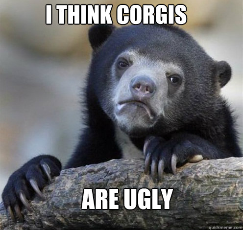 I THINK CORGIS ARE UGLY  Confession Bear Eating