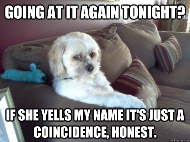 Going at it again tonight? If she yells my name it's just a coincidence, honest. - Going at it again tonight? If she yells my name it's just a coincidence, honest.  Worry Mutt