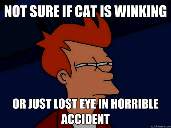 Not sure if cat is winking or just lost eye in horrible accident - Not sure if cat is winking or just lost eye in horrible accident  Futurama Fry in the dark