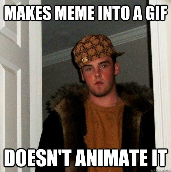 makes meme into a gif doesn't animate it  Scumbag Steve