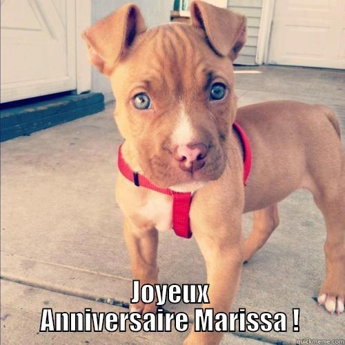  JOYEUX ANNIVERSAIRE MARISSA ! Misc