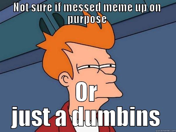 NOT SURE IF MESSED MEME UP ON PURPOSE OR JUST A DUMBINS Futurama Fry