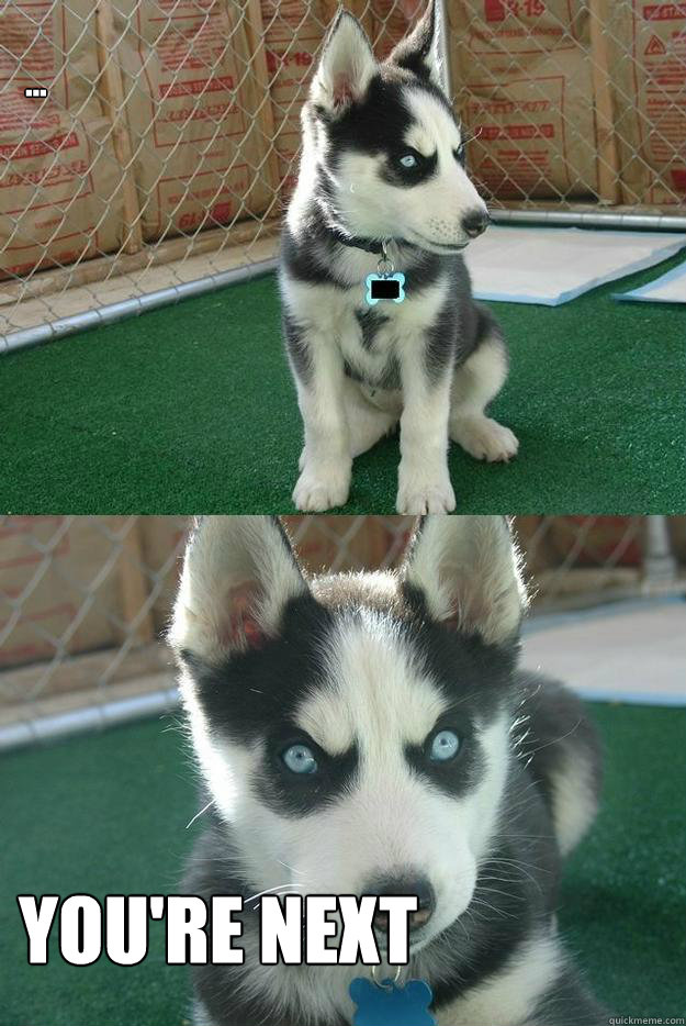 ... YOU'RE NEXT  Insanity puppy