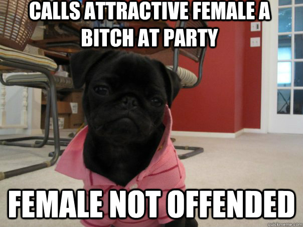 Calls attractive female a bitch at party Female not offended  