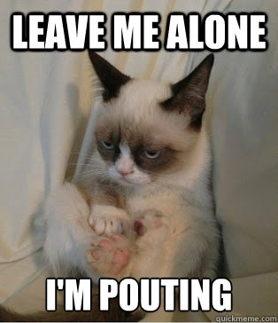 leave me alone i'm pouting - leave me alone i'm pouting  grumpy cat sits