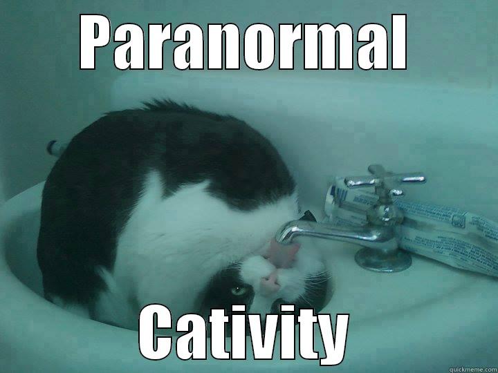 paranormal cativity - PARANORMAL CATIVITY Misc
