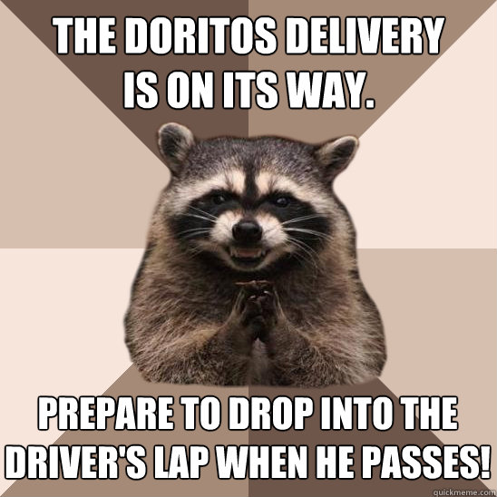 The Doritos delivery
is on its way. Prepare to drop into the driver's lap when he passes! - The Doritos delivery
is on its way. Prepare to drop into the driver's lap when he passes!  Evil Plotting Raccoon