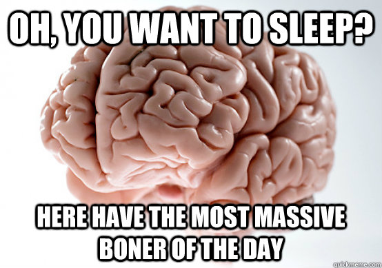 Oh, you want to sleep? Here have the most massive boner of the day  Scumbag Brain make you late to work