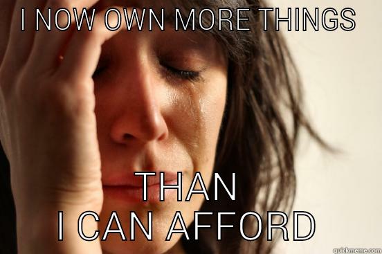 I NOW OWN MORE THINGS THAN I CAN AFFORD First World Problems