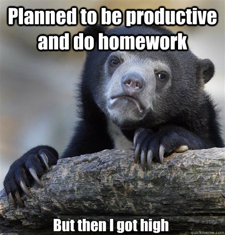 Planned to be productive and do homework But then I got high  Confession Bear