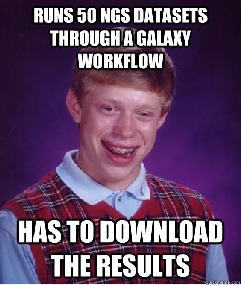 runs 50 ngs datasets through a galaxy workflow has to download the results - runs 50 ngs datasets through a galaxy workflow has to download the results  Bad Luck Brian