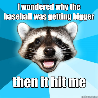 I wondered why the baseball was getting bigger then it hit me  Lame Pun Coon