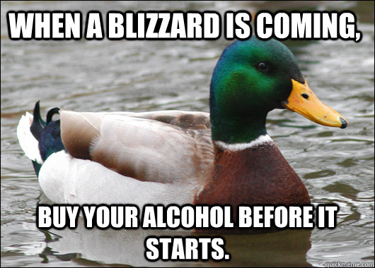 When a blizzard is coming, buy your alcohol before it starts. - When a blizzard is coming, buy your alcohol before it starts.  Actual Advice Mallard