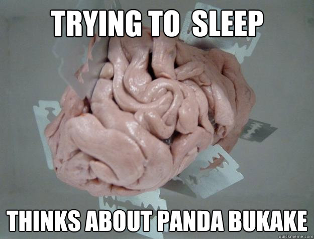 trying to  sleep thinks about panda bukake  