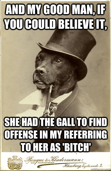 and my good man, if you could believe it, she had the gall to find offense in my referring to her as 'bitch'  Old Money Dog