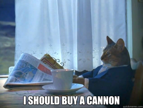  I should buy a cannon  The One Percent Cat