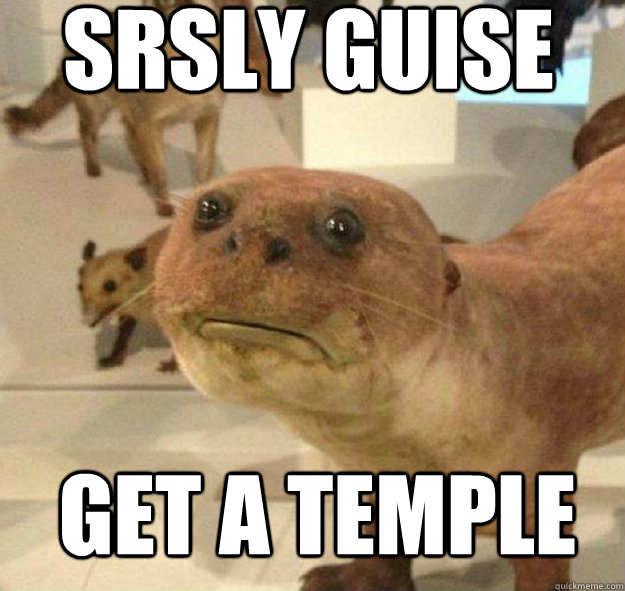 Get a temple Srsly Guise  Srsly