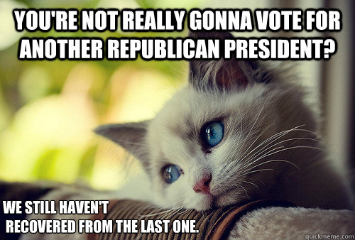 You're not really gonna vote for another republican president? We still haven't 
 recovered from the last one.  First World Problems Cat