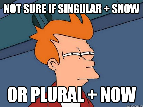 Not sure if singular + snow Or plural + now  Futurama Fry