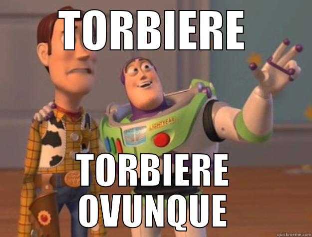 TORBIERE TORBIERE OVUNQUE Toy Story