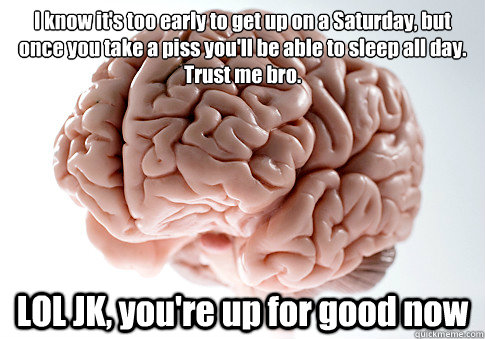 I know it's too early to get up on a Saturday, but once you take a piss you'll be able to sleep all day. Trust me bro. LOL JK, you're up for good now  - I know it's too early to get up on a Saturday, but once you take a piss you'll be able to sleep all day. Trust me bro. LOL JK, you're up for good now   Scumbag Brain
