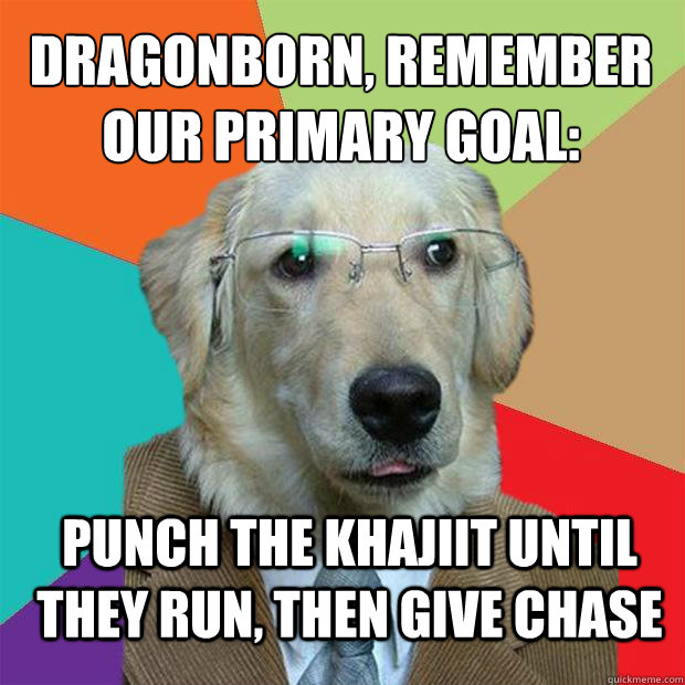 Dragonborn, remember our primary goal:
 Punch the Khajiit until they run, then give chase  Business Dog