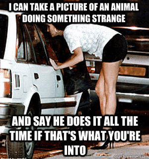 I can take a picture of an animal doing something strange And say he does it all the time if that's what you're into  Karma Whore