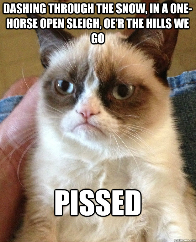Dashing through the snow, In a one-horse open sleigh, Oe'r the hills we go pissed - Dashing through the snow, In a one-horse open sleigh, Oe'r the hills we go pissed  Grumpy Cat