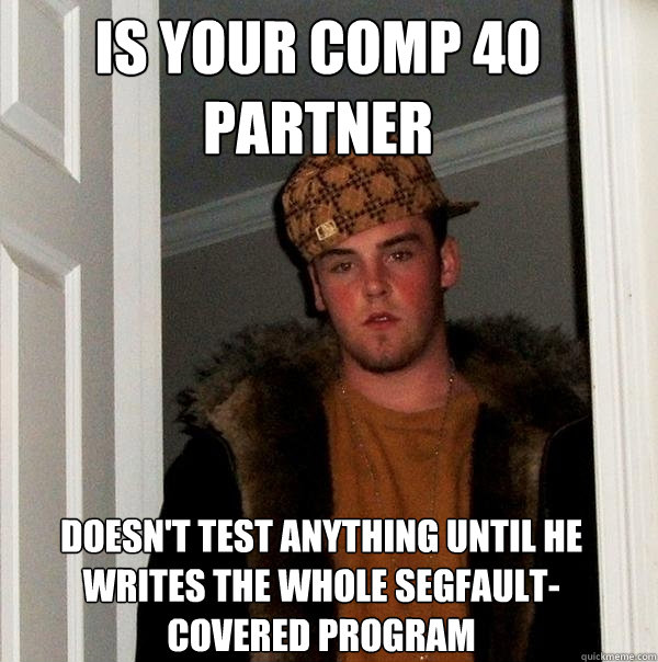 is your comp 40 partner doesn't test anything until he writes the whole segfault-covered program  Scumbag Steve