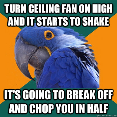 turn ceiling fan on high and it starts to shake it's going to break off and chop you in half  Paranoid Parrot