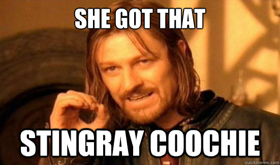 She got that  Stingray coochie  Boromir