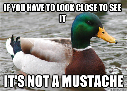 if you have to look close to see it It's not a mustache   Actual Advice Mallard