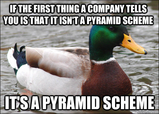 if the first thing a company tells you is that it isn't a pyramid scheme it's a pyramid scheme  Actual Advice Mallard