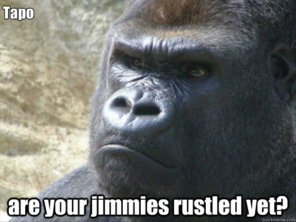 Tapo are your jimmies rustled yet?  