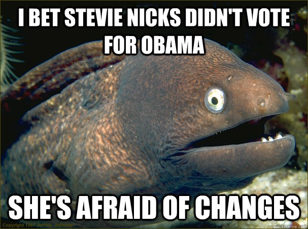 I bet stevie Nicks didn't vote for obama she's afraid of changes  Bad Joke Eel