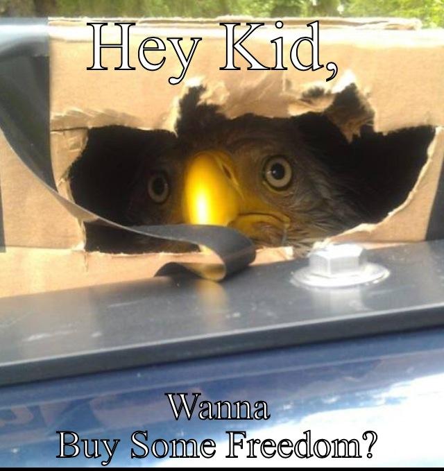 HEY KID, WANNA BUY SOME FREEDOM? Misc