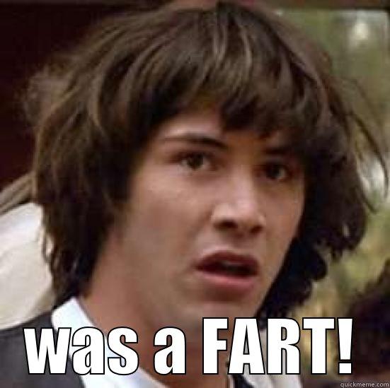I DON'T THINK THAT  WAS A FART! conspiracy keanu