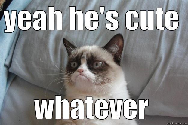 YEAH HE'S CUTE WHATEVER Grumpy Cat
