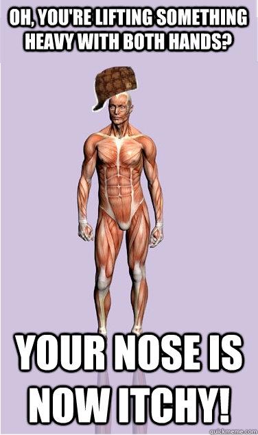Oh, you're lifting something heavy with both hands? your nose is now itchy! - Oh, you're lifting something heavy with both hands? your nose is now itchy!  Misc