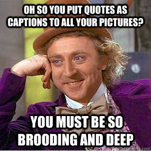 Oh so you put quotes as captions to all your pictures?  You must be so brooding and deep  Condescending Wonka