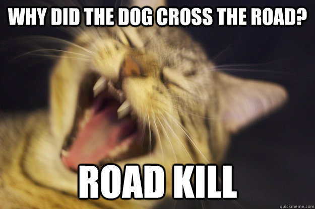 Why did the dog cross the road? Road kill - Why did the dog cross the road? Road kill  Evil Joke Cat