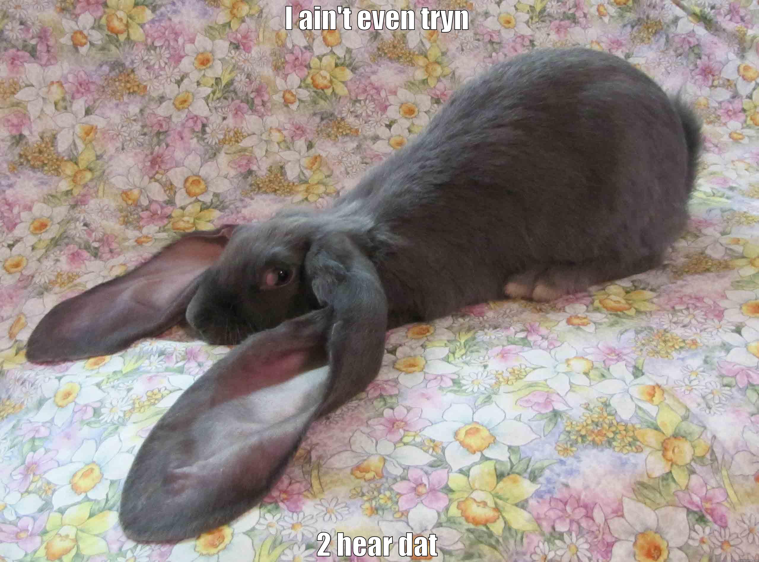 I AIN'T EVEN TRYN 2 HEAR DAT Misc