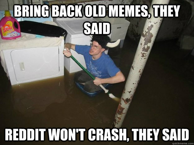 Bring back old memes, they said reddit won't crash, they said  Laundry Room Viking
