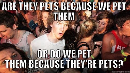 ARE THEY PETS BECAUSE WE PET THEM OR DO WE PET THEM BECAUSE THEY'RE PETS? Sudden Clarity Clarence