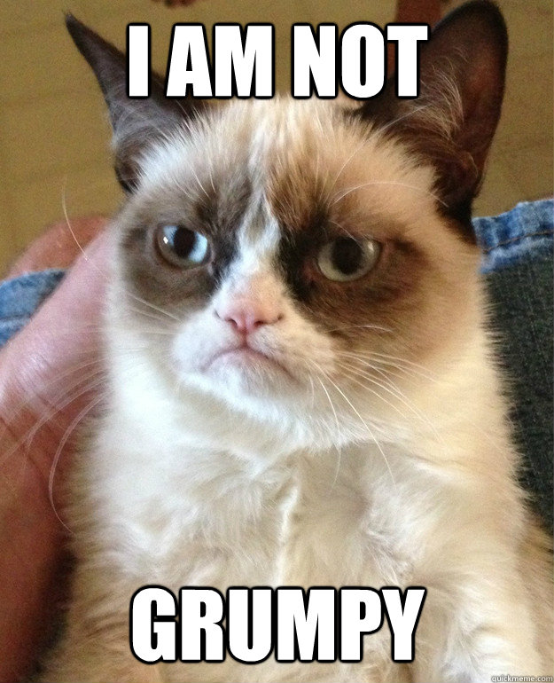 i am not grumpy - i am not grumpy  Misc