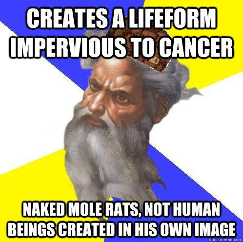 creates a lifeform impervious to cancer naked mole rats, not human beings created in his own image - creates a lifeform impervious to cancer naked mole rats, not human beings created in his own image  Scumbag Advice God