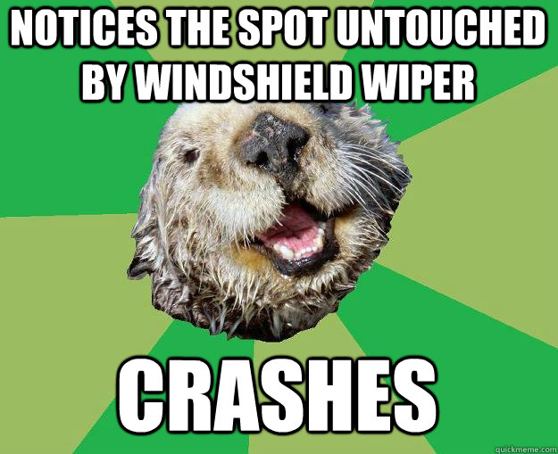 Notices the spot untouched by windshield wiper crashes  OCD Otter