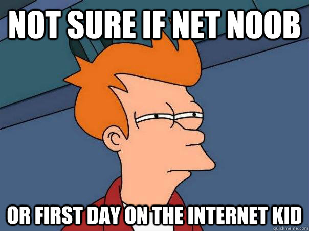 Not sure if Net Noob Or First day on the internet kid  Futurama Fry